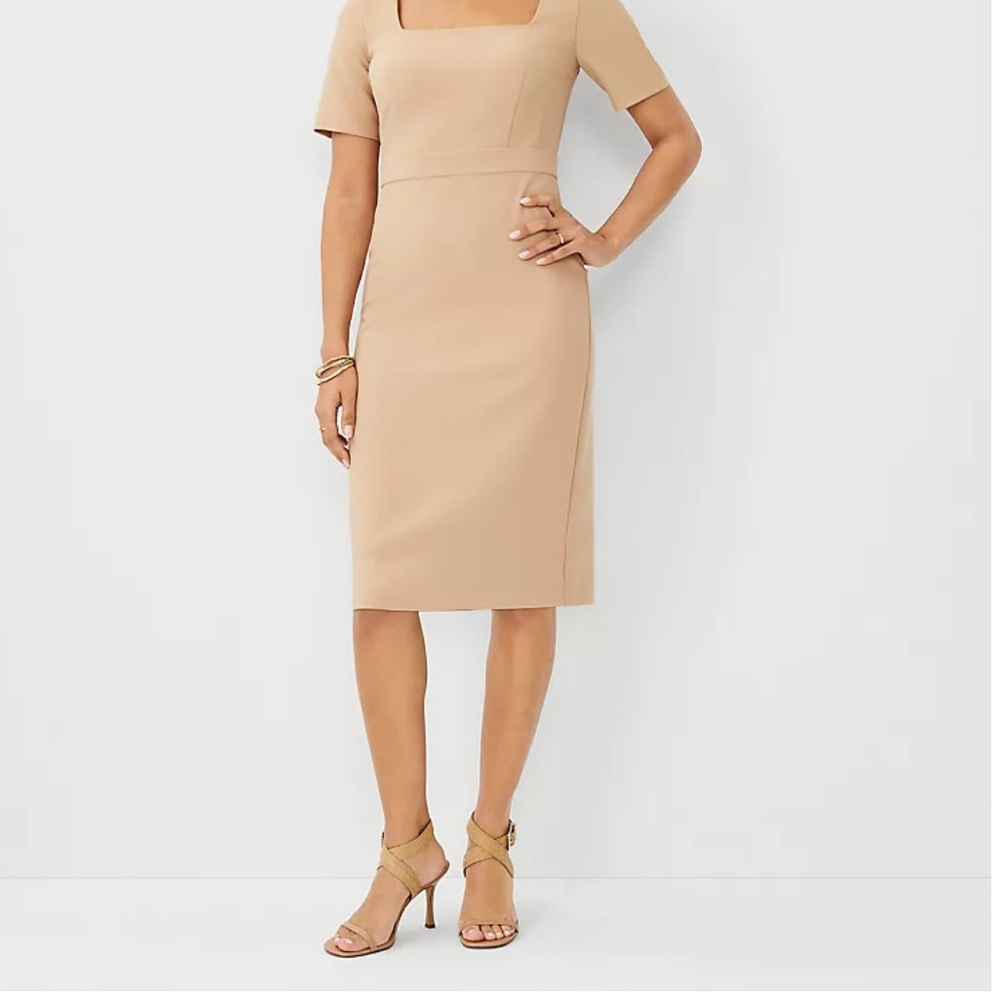 Ann Taylor Tan Women's Dress